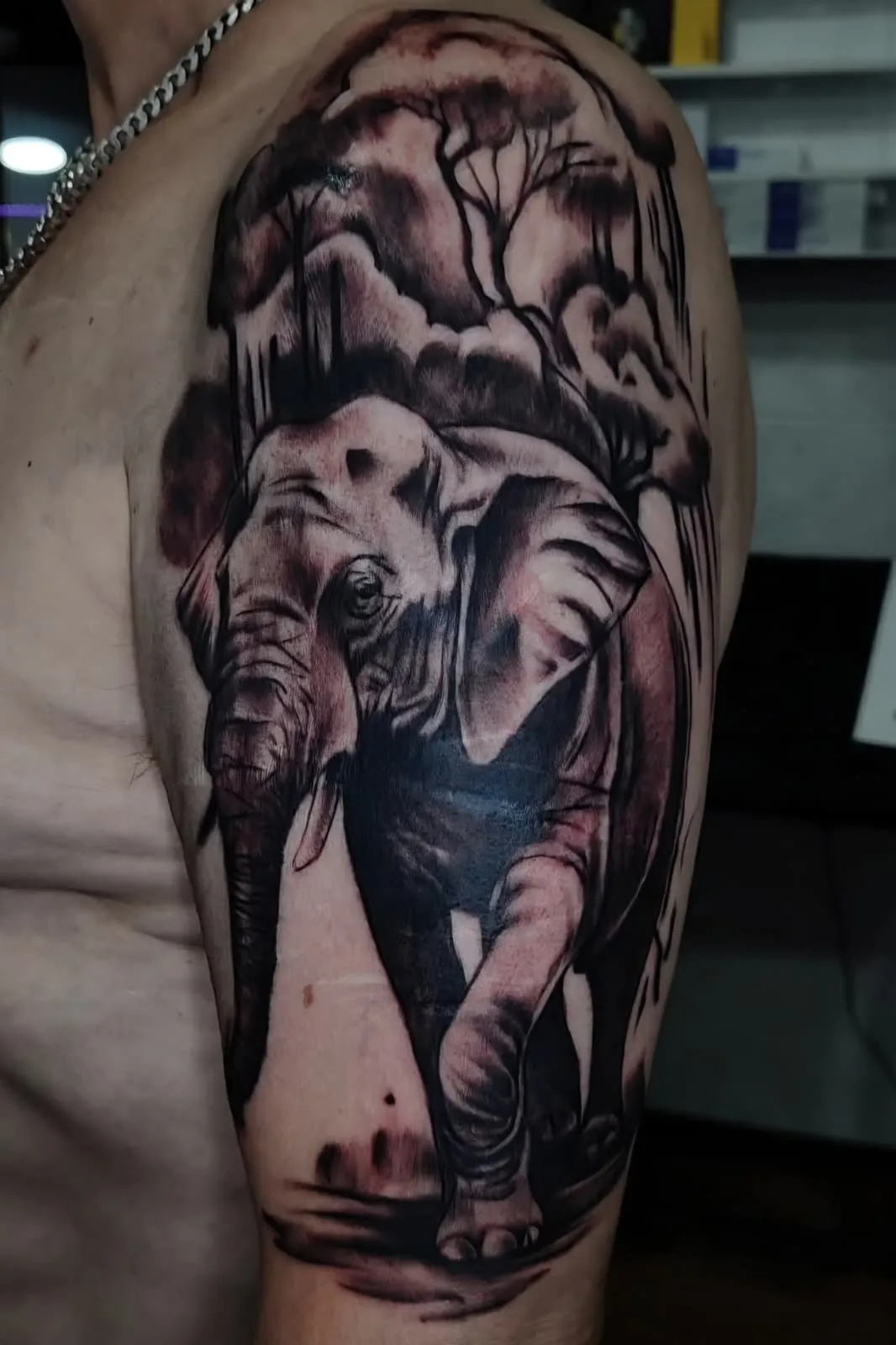 Černobílé tetování slona na paži